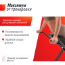 Гиперэкстензия UNIX FIT R-CHAIR 150G RCHU150G